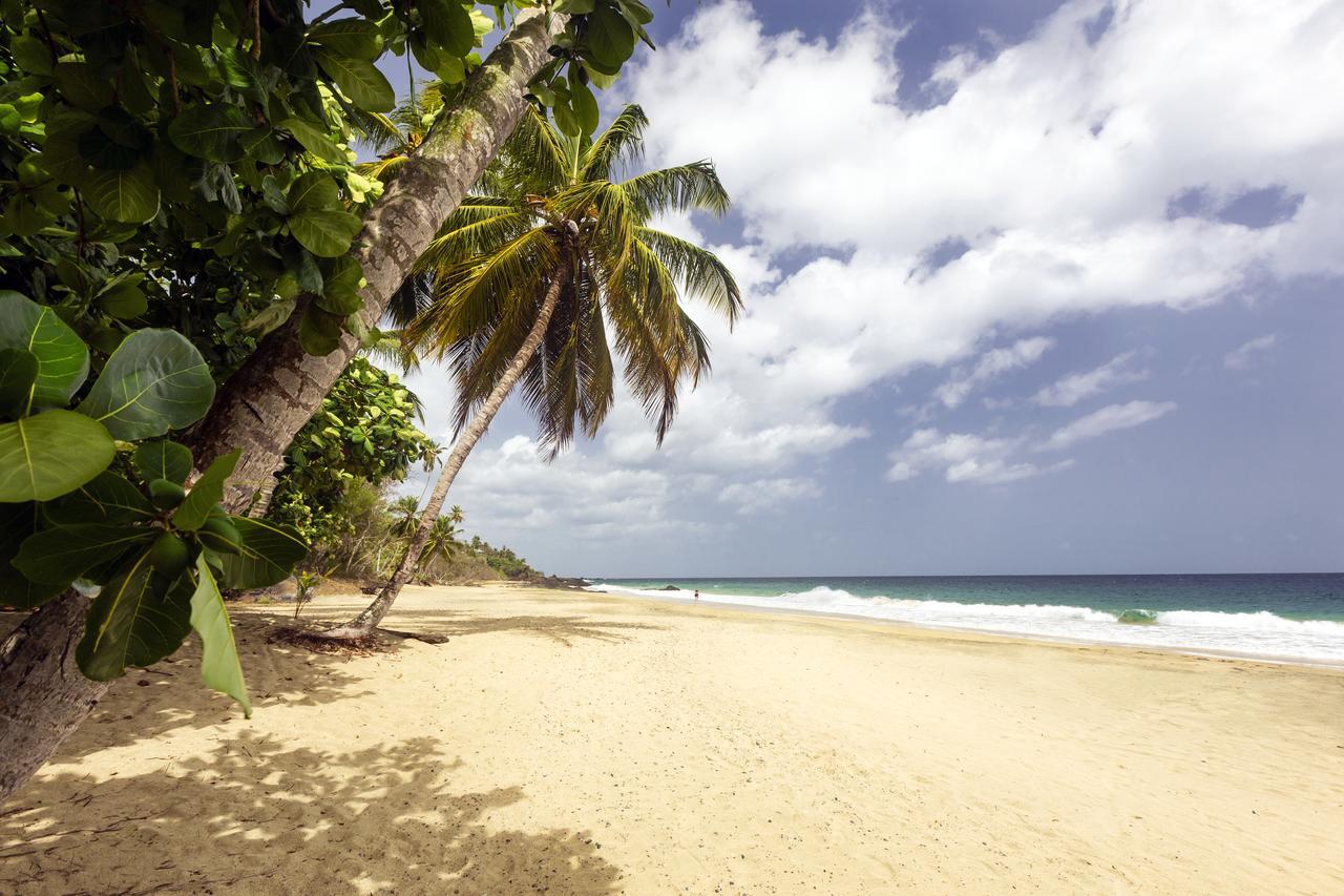 Le Grand Courlan Spa Resort Adults Only Black Rock Eksteriør billede